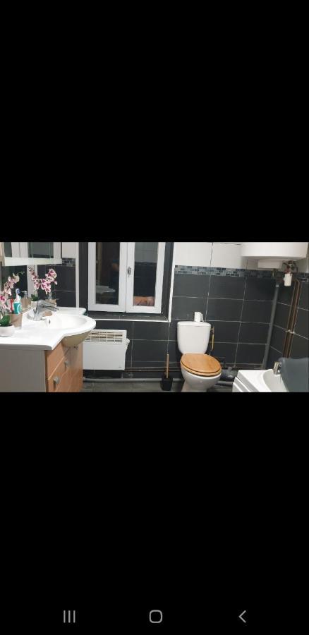Apartment Chaleureux Au Pied Du Tramway Et A 10 Mn De Valenciennes.