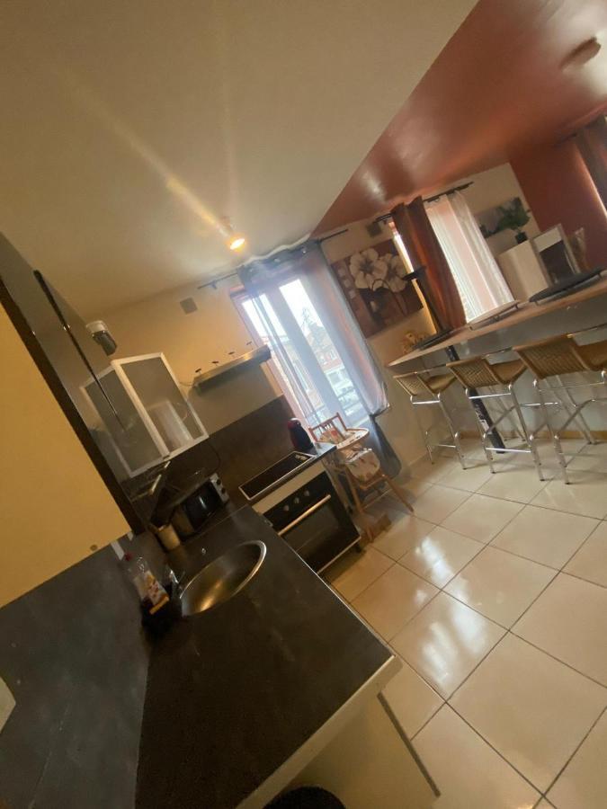 Apartment Chaleureux Au Pied Du Tramway Et A 10 Mn De Valenciennes. *